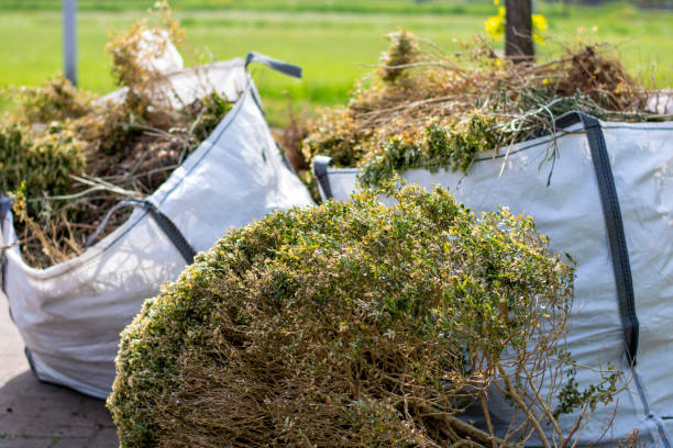 Best Mattress Removal Service  in Farngton Hills, MI